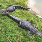 Profile Picture of Julien Paul (@Julien-Paul) on Facebook