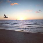 Profile Picture of Jeff Kunkel (@bigmac254925) on Instagram