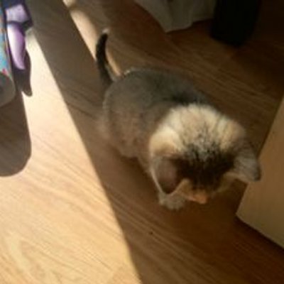 Profile Picture of Henry Baxter (@Henrybaxter12) on Twitter