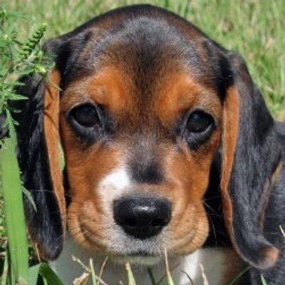 Profile Picture of Sara Gormley (@SaJoJoG) on Twitter