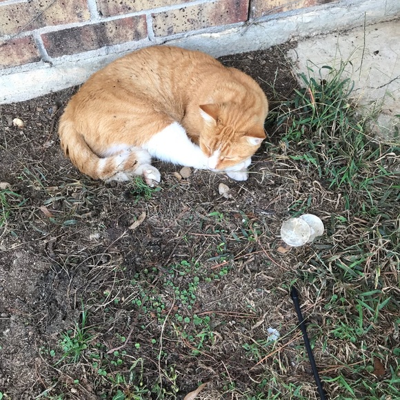 Profile Picture of Ariel Burgess (@arielburgess) on Poshmark