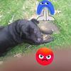 Profile Picture of kennethlatten (@kennethlatten) on Tiktok