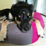 Profile Picture of JeffrO (@jeffotten) on Instagram