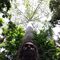 Profile Picture of Joe Mench (@joe.mench.75) on Facebook