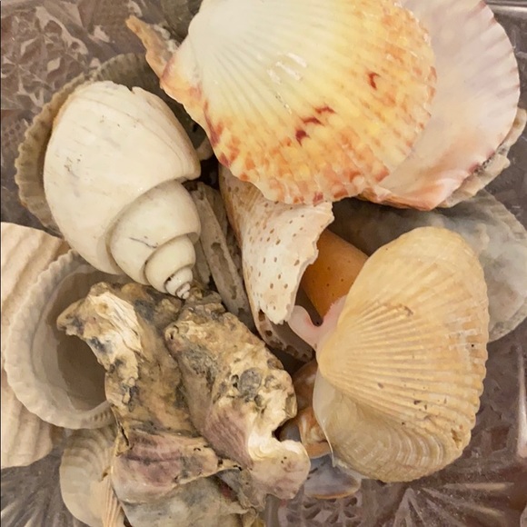 Profile Picture of Elrose Tate (@libbykendall) on Poshmark