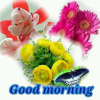 Profile Picture of Albert Tano (@Albert86298389) on Twitter