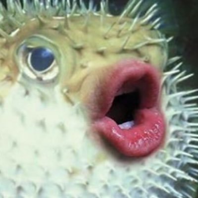 Profile Picture of Robert Gracie Jr (@@swervtown) on Twitter