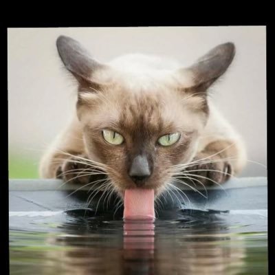 Profile Picture of Jay Vegas (@j_nvegas) on Twitter