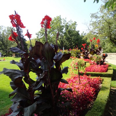 Profile Picture of Suzanne Kasim (@KasimSuzanne) on Twitter