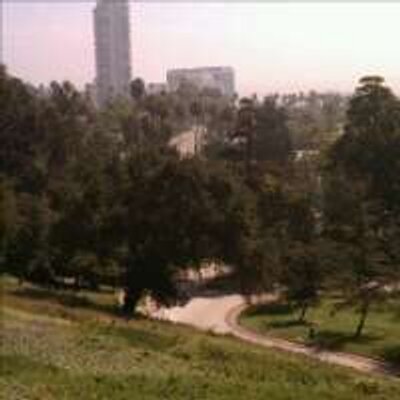 Profile Picture of Raymond Lara (@RaymondLara1) on Twitter