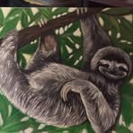 Profile Picture of Lucie Laviolette (@Lucie-Laviolette) on Facebook