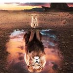 Profile Picture of Tracy Dibobe Elimbi (@simone_pierre21) on Instagram