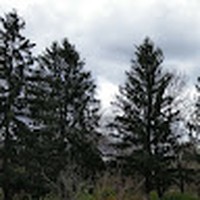 Profile Picture of Wilmarie Colon (@wilmarie-colon-2) on Quora