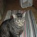 Profile Picture of John McCloskey (@john.mccloskey.982) on Facebook