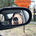 Profile Picture of Quentin Perry (@QuePerry Photography) on Flickr