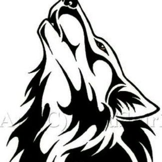 Lobo Peter_Yt - Twitter Profile Picture of Lobo Peter_Yt (@LoboPeterYt1) on Twitter