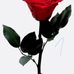 Profile Picture of Luz Lema (@luz.lema.756) on Facebook