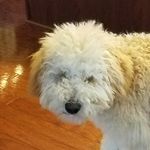 Profile Picture of Paula Kay Mandeville (@paulamandeville) on Instagram