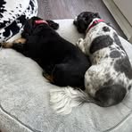 Amanda Helms - Facebook Profile Picture of Amanda Helms (@Amanda-Helms) on Facebook