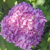 Profile Picture of Tina Liu (@imim0101) on Youtube