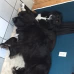 Joshua Stanley - Facebook Profile Picture of Joshua Stanley (@Joshua-Stanley) on Facebook