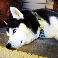 Profile Picture of Tina Heppel (@tina-heppel) on Quora