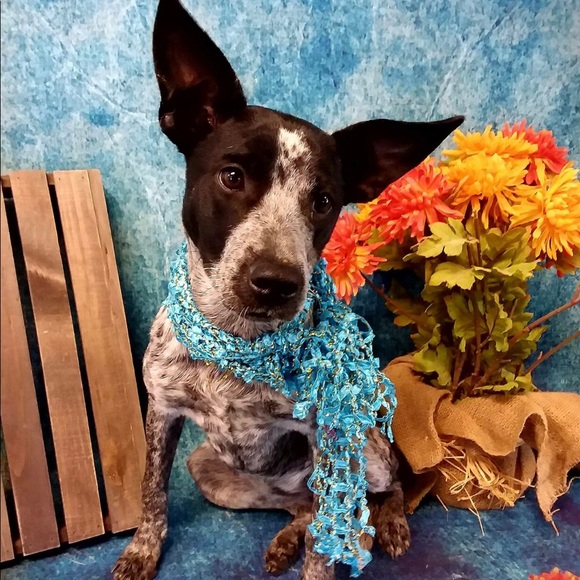 Profile Picture of Steve Wheeler (@stu9234) on Poshmark