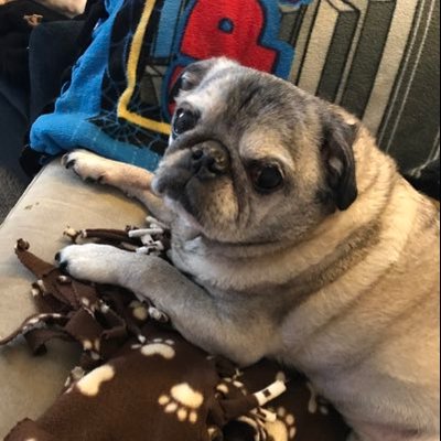 Profile Picture of Danielle Daugherty (@Daniell23229523) on Twitter