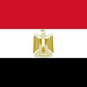 Profile Picture of Mohamed Abdelall (@Mohamed72922729) on Twitter