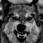 hank king - Instagram Profile Picture of hank king (@hankkingtattoos) on Instagram