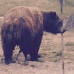 Profile Picture of Jay Kurth (@jay.kurth) on Instagram