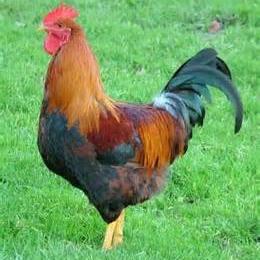 Profile Picture of Garth Morgan (@Shadow_G1) on Twitter