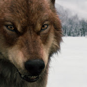 Profile Picture of Jacob Wolf (@JacobWolfYT) on Youtube