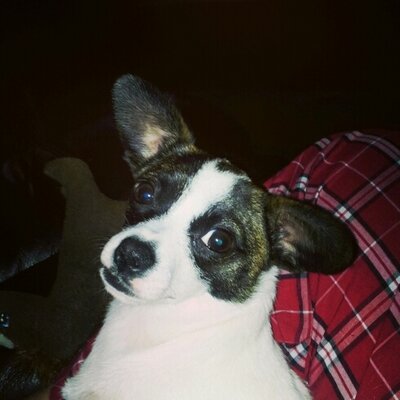 Profile Picture of Angela Miner (@amminer72) on Twitter