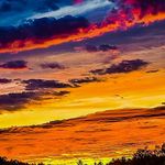 Profile Picture of Timothy Maier (@natureimpressphotos) on Instagram