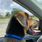 Profile Picture of Abby Lowe (@abbylowe2784) on Youtube