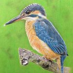 Profile Picture of Erdelics Richárd (@erdelicsart) on Instagram