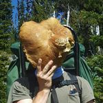 Profile Picture of Matt Cooley (@matthew.reed.cooley) on Instagram