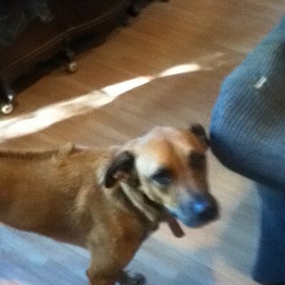 Profile Picture of RandyParsons (@RandyParsons10) on Twitter