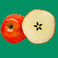 Profile Picture of Paul Timson (@paul-timson-16) on Quora