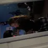 Profile Picture of IB🥎⚽️🤼‍♀️ (@benjamin10263) on Tiktok