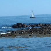 Profile Picture of Sherrie Stevens (@sherriestevens3688) on Youtube