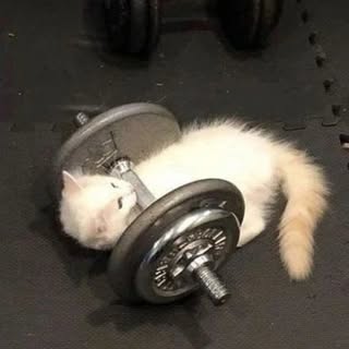 Profile Picture of david (@davidcejka_) on Instagram