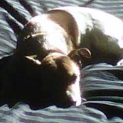 James Isaac Leili - Twitter Profile Picture of James Isaac Leili (@Germany9490) on Twitter