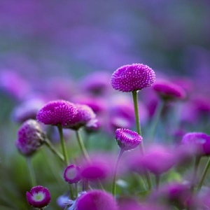 Kurian David - Myspace Profile Picture of Kurian David (@177657879) on Myspace