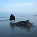 Profile Picture of Jimmy Tully (@jimmytully90) on Pinterest