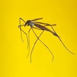 Profile Picture of Kit Martin (@kitmartinphoto) on Instagram