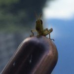 Profile Picture of Michael Poh (@pohhoheng) on Instagram