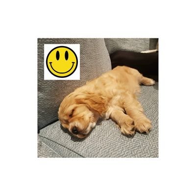 Profile Picture of Steve Pooley (@stevepooley61) on Twitter