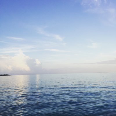 Profile Picture of Adam Clyne (@captainclyno) on Twitter